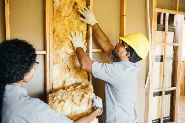 Best Spray Foam Insulation  in Towanda, KS